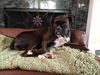 Roxy