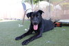 TILLY - Photo 1