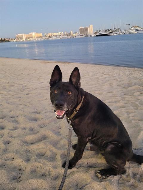 FELIPE