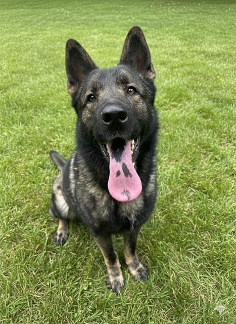 Koda