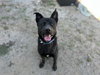 STITCH - Photo 1