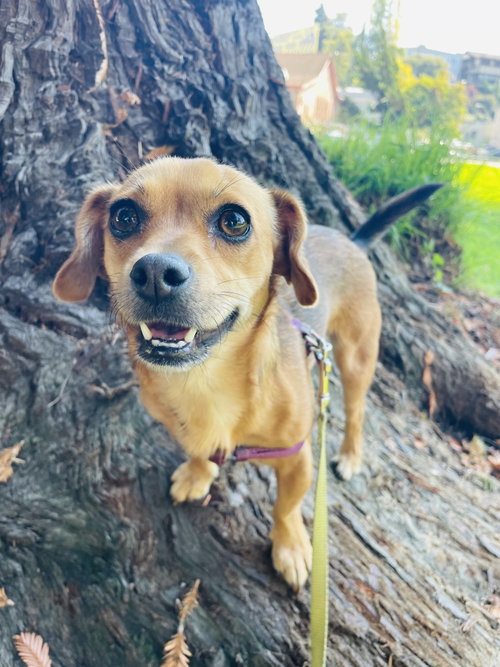 Suzie