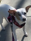 Cleo - Photo 4