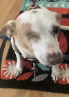 Cleo - Photo 5