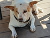 Cleo - Photo 2