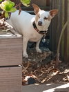 Cleo - Photo 1