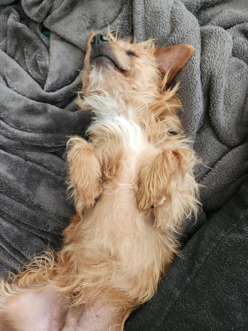 Photo of Wesley