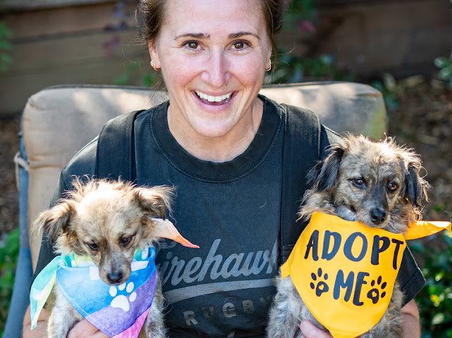 Birdie and Minnie BONDED PAIR BLIND DOGS, photo 4