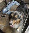 Bailey Grace - Photo 3