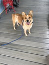 Emmi - Photo 1