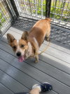 Emmi - Photo 2