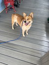Emmi - Photo 3