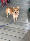 Emmi - Photo 4