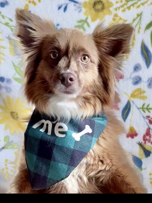 Max