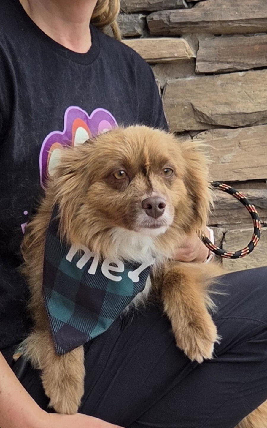 Max