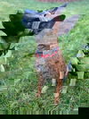 Mally in TENN