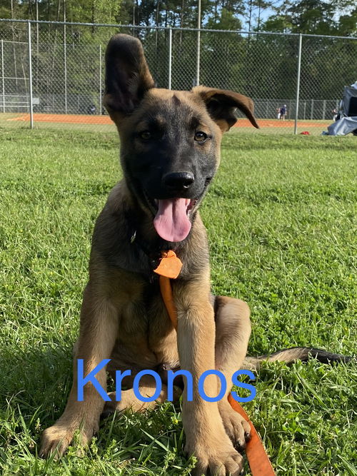 Kronos-FL