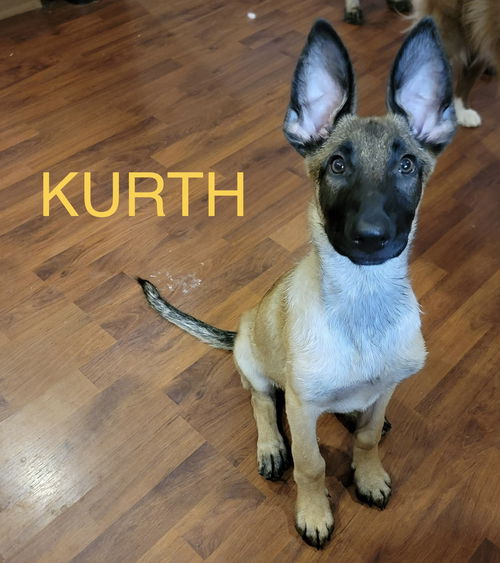 Kurth - TX