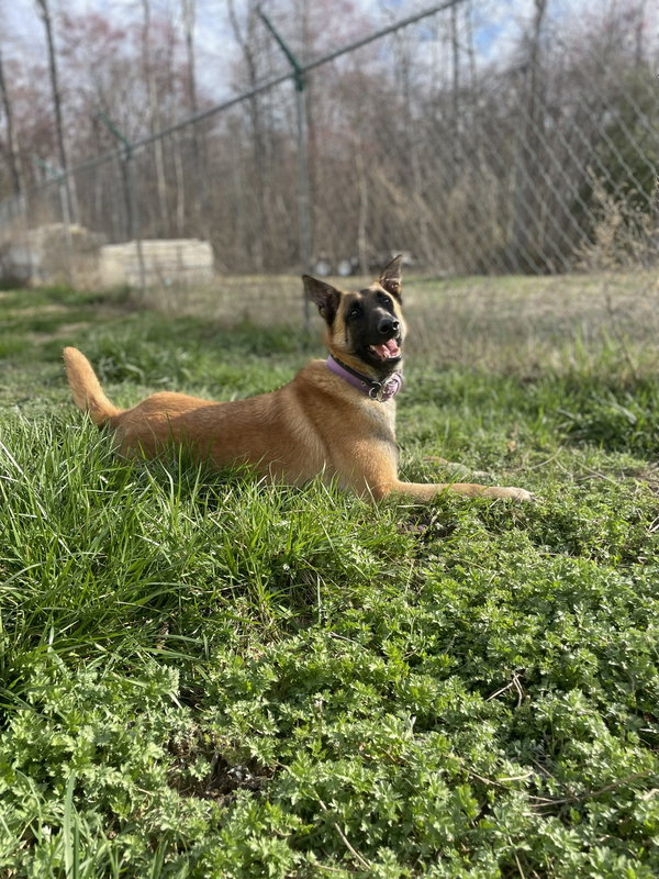 Gray- NJ