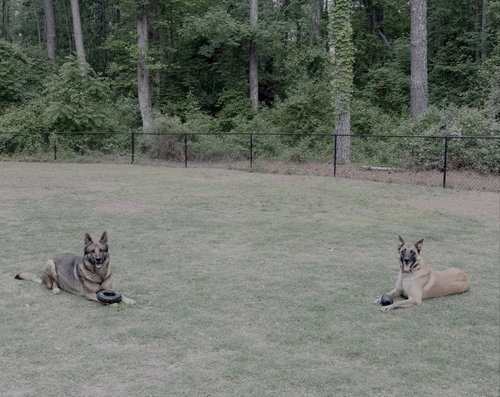 Photo 3 of Gray- NC