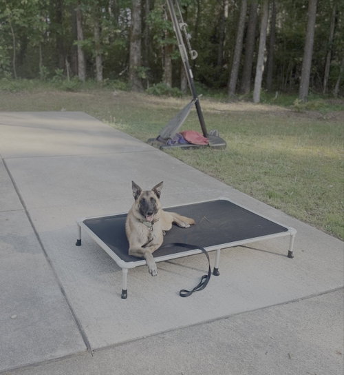 Photo 4 of Gray- NC