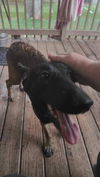 Ruby - FL