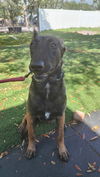 Ruby - FL