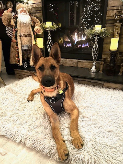 Winston - NY - COURTESY POST