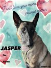 Jasper2 - TX