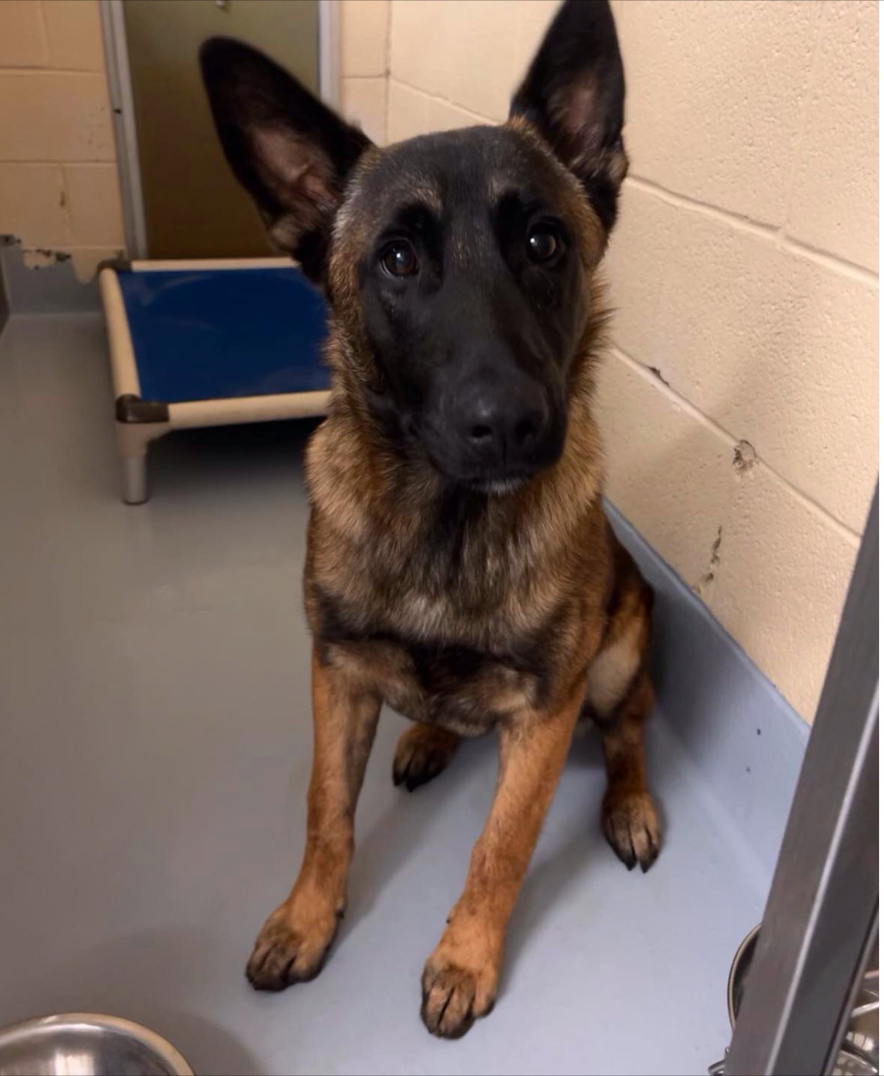 Radar, AR