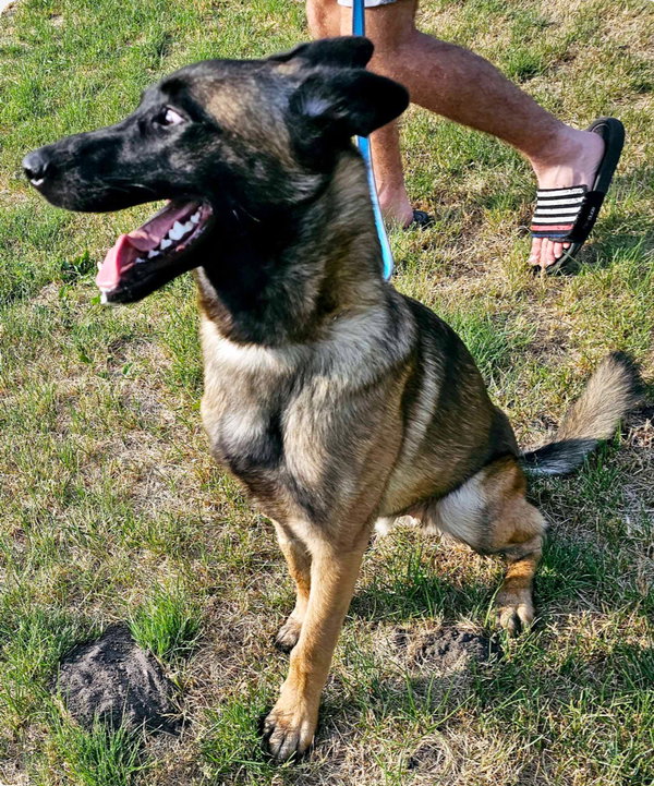 Radar, AR