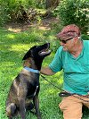 adoptable Dog in , WI named Bosco - FL