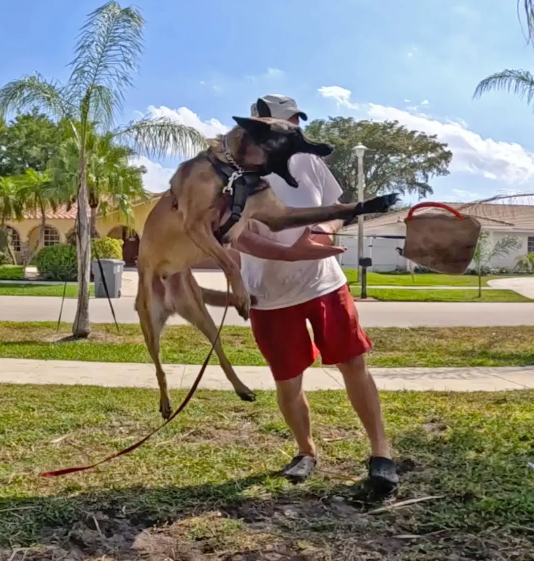 Cody - Fl image 4