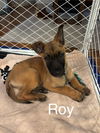 Roy - OH - Courtesy Post