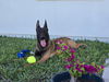 Zeke-FL