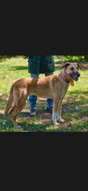 Brooke - NJ - COURTESY POST