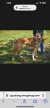 Brooke - NJ - COURTESY POST