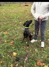 Lucy FKA Lola - NY