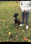 Lucy FKA Lola - NY