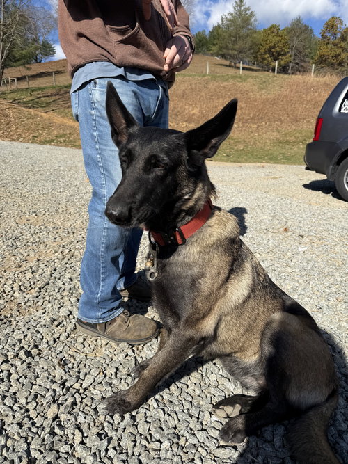 Mardy (VA)