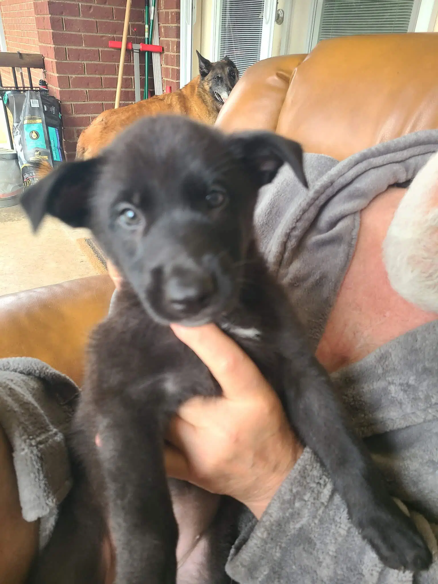 Lucchese Loo-Kay-See - Ga image 4
