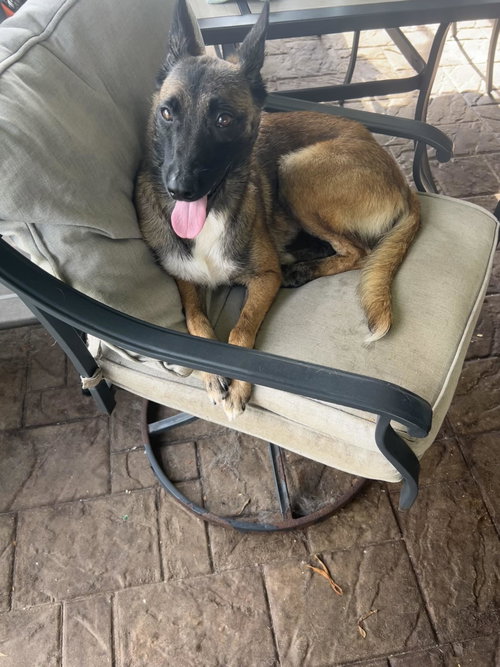 Roxy - FL - COURTESY POST