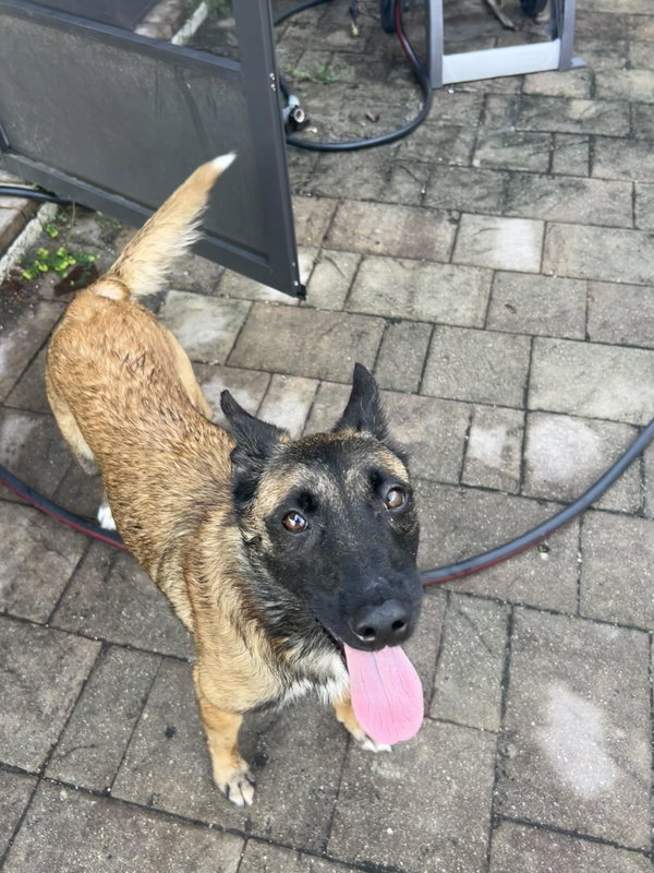 Roxy - FL - COURTESY POST