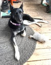 Ruthie - IL - COURTESY POST