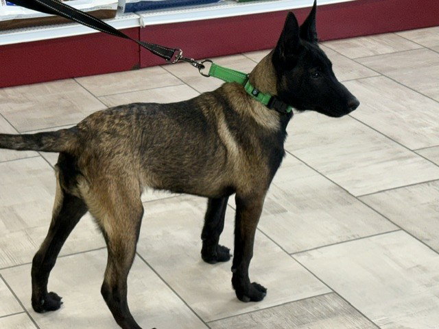 Aleida - IA, photo 4