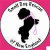 adoptable Dog in cranston, RI named FOSTERS NEEDED!