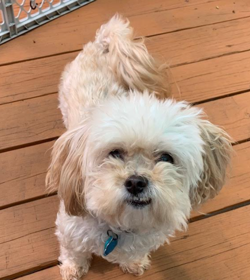 Winky in RI