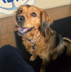 Penny in RI - Photo 2