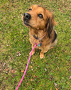 Penny in RI - Photo 6