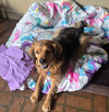 Penny in RI - Photo 1